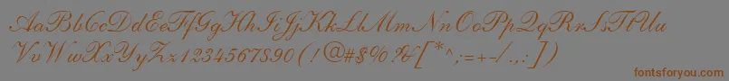 Police ShelleyLtAndanteScript – polices brunes sur fond gris
