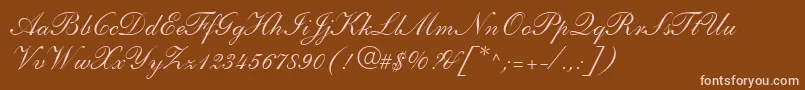 ShelleyLtAndanteScript Font – Pink Fonts on Brown Background