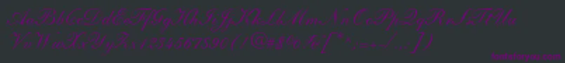 Czcionka ShelleyLtAndanteScript – fioletowe czcionki na czarnym tle