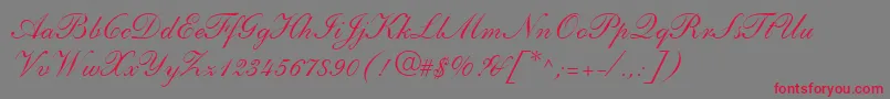 フォントShelleyLtAndanteScript – 赤い文字の灰色の背景