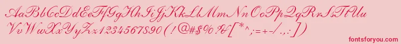 ShelleyLtAndanteScript Font – Red Fonts on Pink Background