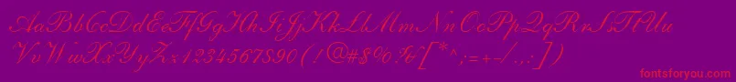 ShelleyLtAndanteScript Font – Red Fonts on Purple Background