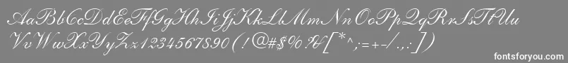 フォントShelleyLtAndanteScript – 灰色の背景に白い文字