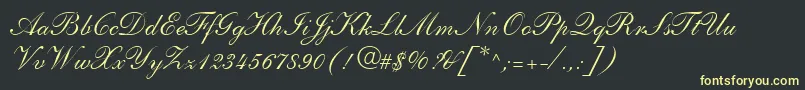 ShelleyLtAndanteScript Font – Yellow Fonts on Black Background