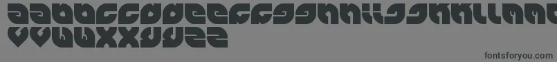 Perfect Font – Black Fonts on Gray Background