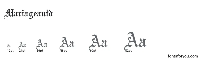 Mariageantd Font Sizes