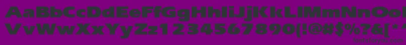 Ergoblke Font – Black Fonts on Purple Background