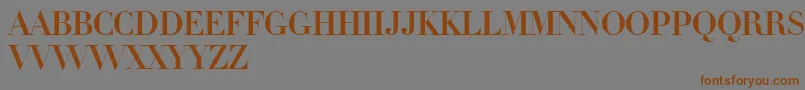 フォントLinotypeDidotInitials – 茶色の文字が灰色の背景にあります。