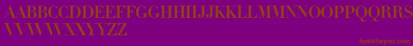 LinotypeDidotInitials Font – Brown Fonts on Purple Background