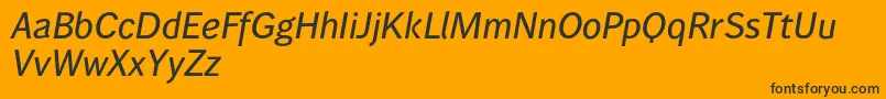 Wendelinreduced65kraeftigkursiv Font – Black Fonts on Orange Background