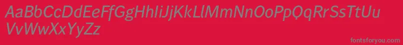 Wendelinreduced65kraeftigkursiv Font – Gray Fonts on Red Background