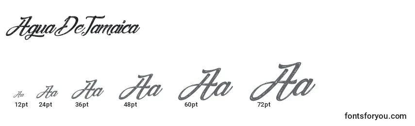 Размеры шрифта AguaDeJamaica