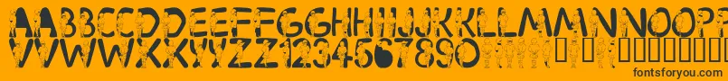 LmsVelma Font – Black Fonts on Orange Background