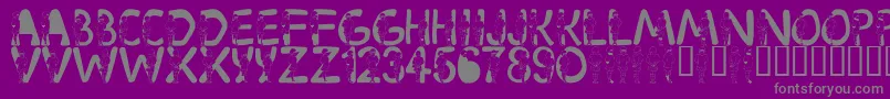 LmsVelma Font – Gray Fonts on Purple Background