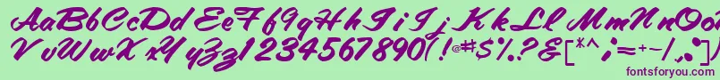 TracyRegular Font – Purple Fonts on Green Background