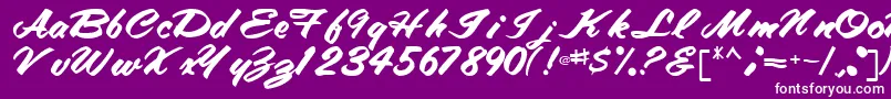 TracyRegular Font – White Fonts on Purple Background