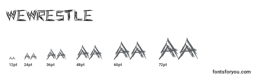 WeWrestle Font Sizes