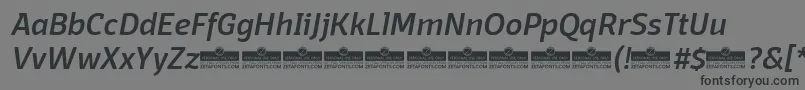 フォントDomotikaMediumItalicTrial – 黒い文字の灰色の背景