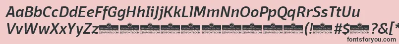 Czcionka DomotikaMediumItalicTrial – czarne czcionki na różowym tle
