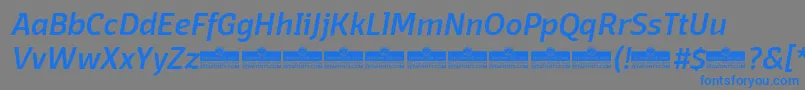 DomotikaMediumItalicTrial-fontti – siniset fontit harmaalla taustalla