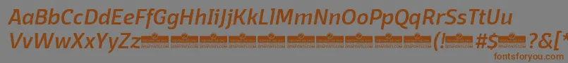 Шрифт DomotikaMediumItalicTrial – коричневые шрифты на сером фоне