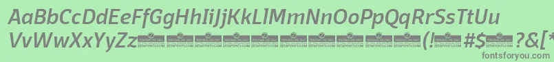 Czcionka DomotikaMediumItalicTrial – szare czcionki na zielonym tle
