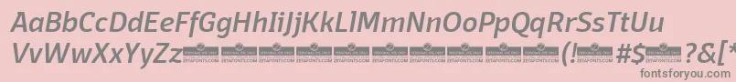 DomotikaMediumItalicTrial-fontti – harmaat kirjasimet vaaleanpunaisella taustalla