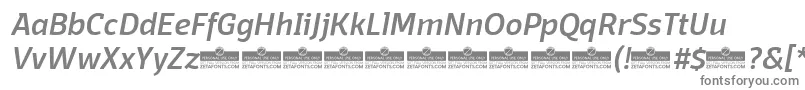 DomotikaMediumItalicTrial-fontti – harmaat kirjasimet valkoisella taustalla