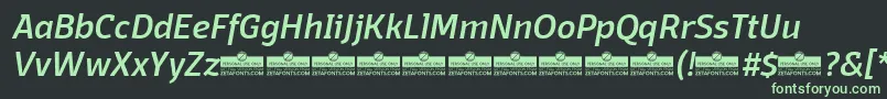 DomotikaMediumItalicTrial-fontti – vihreät fontit mustalla taustalla
