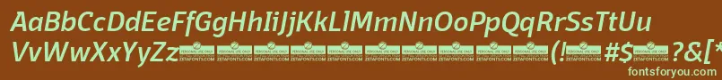 Шрифт DomotikaMediumItalicTrial – зелёные шрифты на коричневом фоне