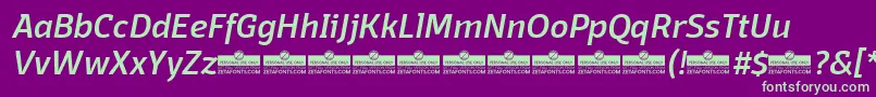 Шрифт DomotikaMediumItalicTrial – зелёные шрифты на фиолетовом фоне