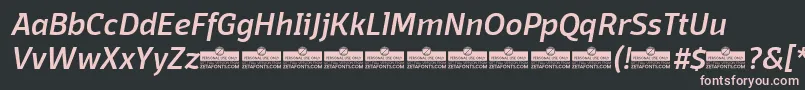 DomotikaMediumItalicTrial-fontti – vaaleanpunaiset fontit mustalla taustalla