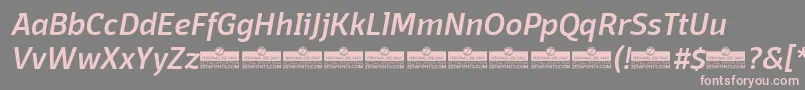 DomotikaMediumItalicTrial-fontti – vaaleanpunaiset fontit harmaalla taustalla