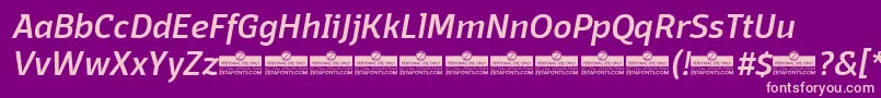 DomotikaMediumItalicTrial-fontti – vaaleanpunaiset fontit violetilla taustalla