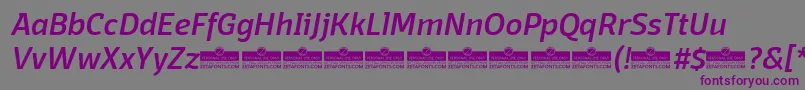 Czcionka DomotikaMediumItalicTrial – fioletowe czcionki na szarym tle