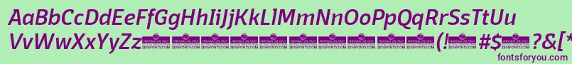 Шрифт DomotikaMediumItalicTrial – фиолетовые шрифты на зелёном фоне