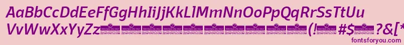 Шрифт DomotikaMediumItalicTrial – фиолетовые шрифты на розовом фоне