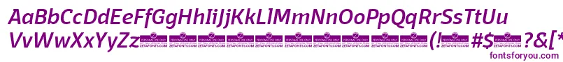 フォントDomotikaMediumItalicTrial – 白い背景に紫のフォント
