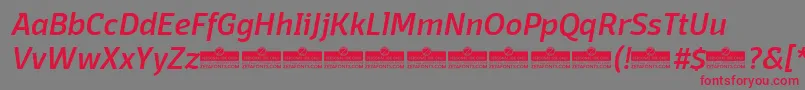 Шрифт DomotikaMediumItalicTrial – красные шрифты на сером фоне