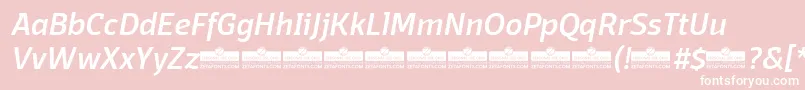 DomotikaMediumItalicTrial-Schriftart – Weiße Schriften auf rosa Hintergrund