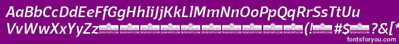 DomotikaMediumItalicTrial-fontti – valkoiset fontit violetilla taustalla