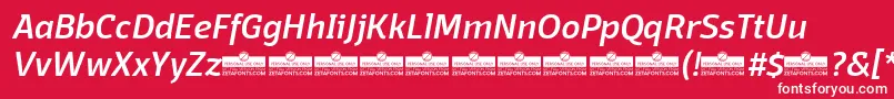 Шрифт DomotikaMediumItalicTrial – белые шрифты на красном фоне