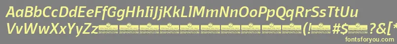 Шрифт DomotikaMediumItalicTrial – жёлтые шрифты на сером фоне