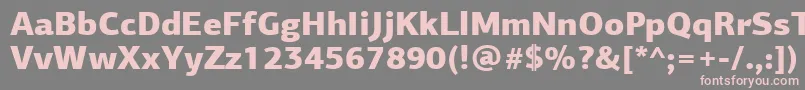 PfagorasansproBlack Font – Pink Fonts on Gray Background