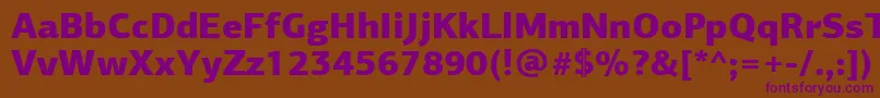 PfagorasansproBlack Font – Purple Fonts on Brown Background