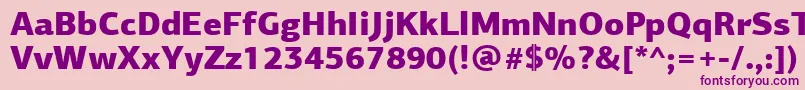 PfagorasansproBlack Font – Purple Fonts on Pink Background