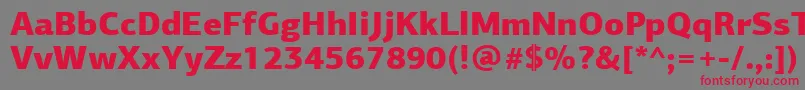 PfagorasansproBlack Font – Red Fonts on Gray Background