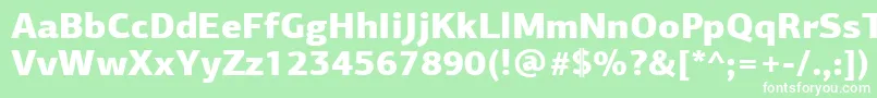 PfagorasansproBlack Font – White Fonts on Green Background