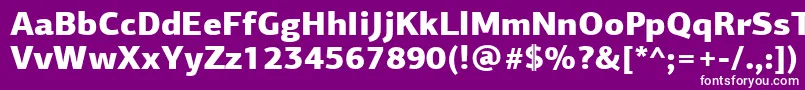 PfagorasansproBlack-Schriftart – Weiße Schriften auf violettem Hintergrund