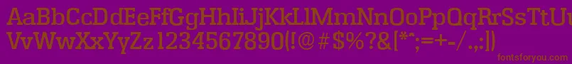 EnschedeserialMediumRegular Font – Brown Fonts on Purple Background